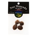 Noz-Moscada-em-Graos-Terra-Rica-Pacote-20g