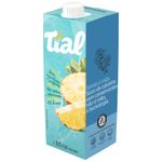 Nectar-de-Abacaxi-Tial-1l