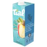 Nectar-de-Caju-Tial-1l