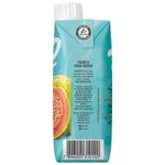 Nectar-de-Goiaba-Tial-330ml