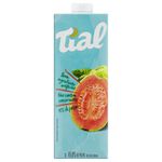 Nectar-de-Goiabada-Tial-1l
