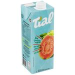 Nectar-de-Goiabada-Tial-1l