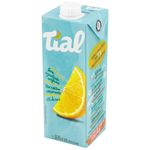 Nectar-de-Laranja-Tial-1l