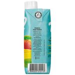 Nectar-de-Manga-Tial-330ml