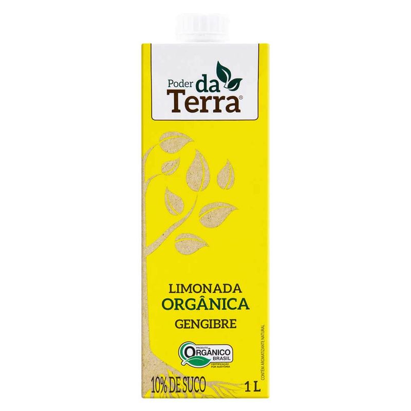 Nc3a9ctar-Orgc3a2nico-Limonada-E-Gengibre-Poder-da-Terra-1l