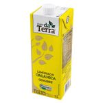 Nc3a9ctar-Orgc3a2nico-Limonada-E-Gengibre-Poder-da-Terra-1l