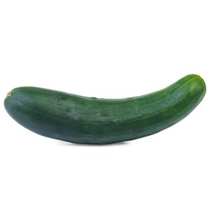 Pepino Comum Kg