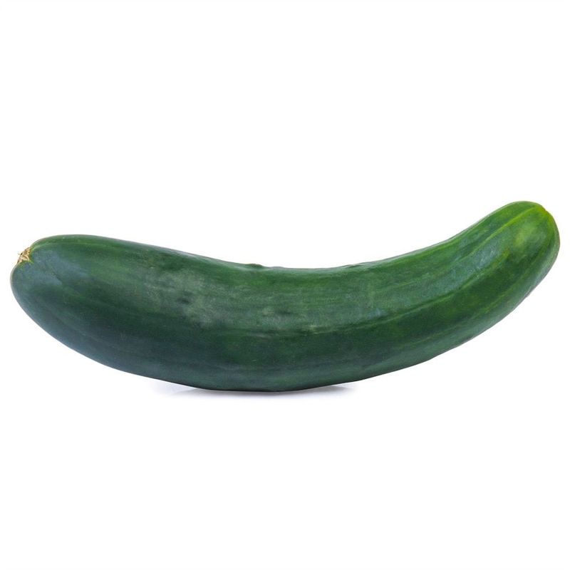 Pepino-Comum-1-Unidade