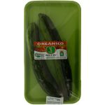 Pepino-Japones-Organico-Horta-E-Arte-400g