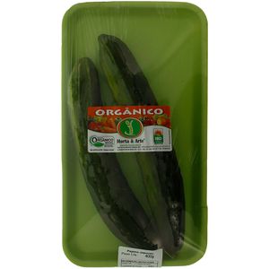 Pepino Japonês Orgânico Horta e Arte 400g