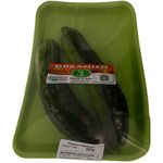 Pepino-Japones-Organico-Horta-E-Arte-400g
