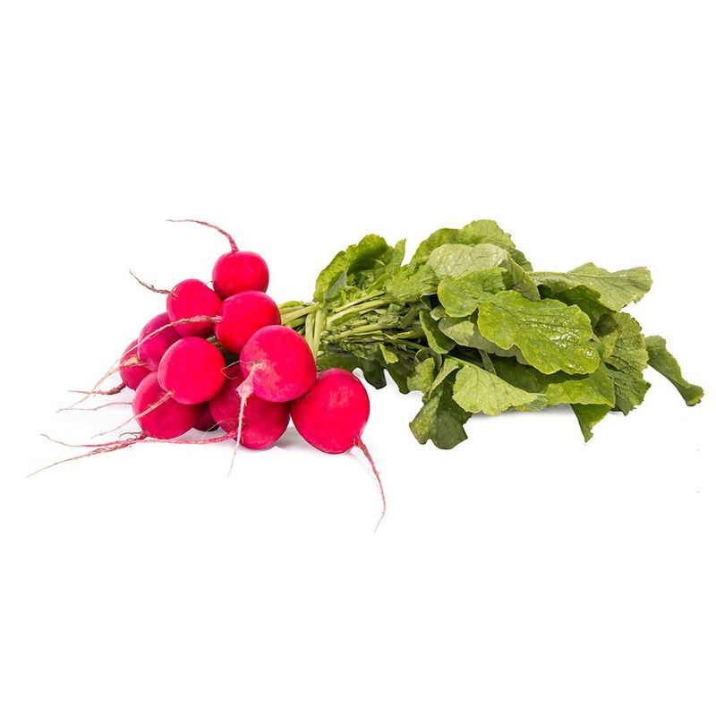 Rabanete-Hasegawa-450g