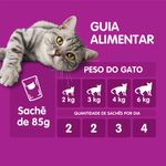 Racao-Sabor-Carne-ao-Molho-Whiskas-Sache-85g