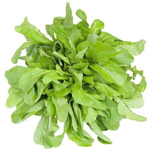 Rúcula Hidropônica Balestrim 300g