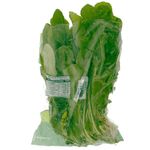 Rucula-Organico-Horta-E-Arte-Maco