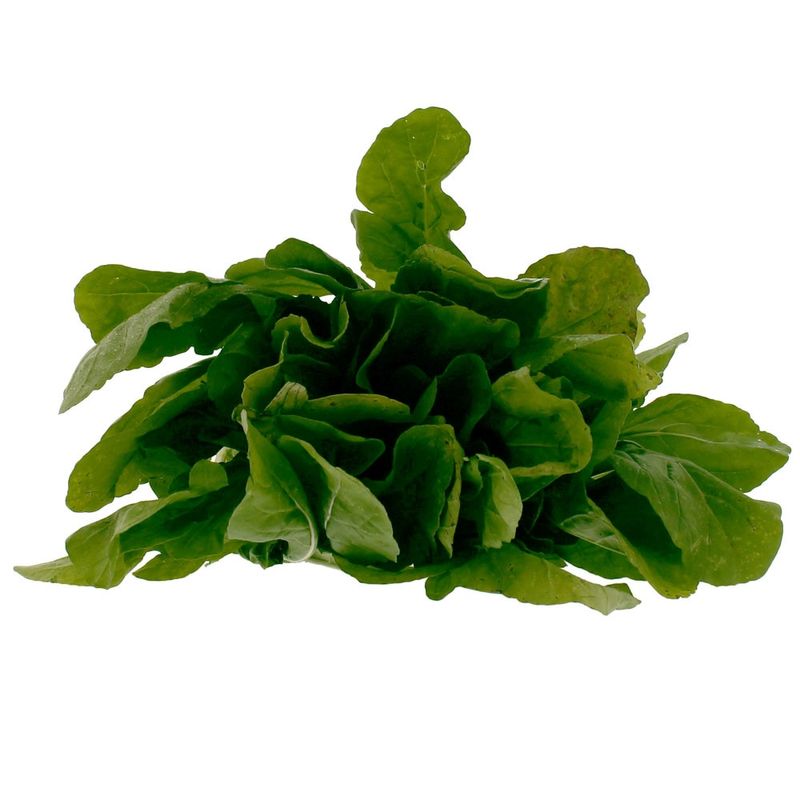 Rucula-Organico-Horta-E-Arte-Maco