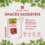 Snack-de-Cranberry-Desidratada-Natures-Heart-25g