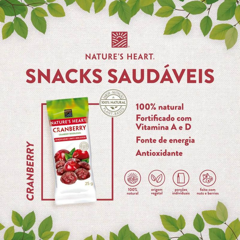 Snack-de-Cranberry-Desidratada-Natures-Heart-25g