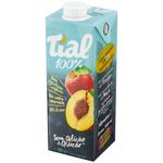 Suco-de-Pessego-100-Tial-1l