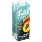 Suco-de-Pessego-100-Tial-1l