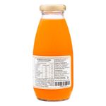 Suco-de-Tangerina-Villa-Piva-300ml