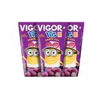 Suco-Uva-Vigor-200ml