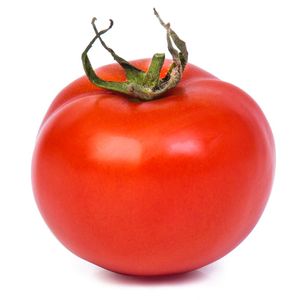 Tomate Holandês Kg