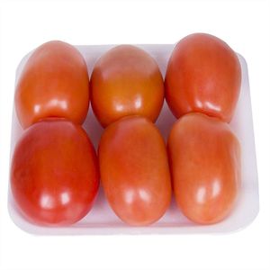 Tomate Italiano Orgânico Solo Vivo Bandeja 500g