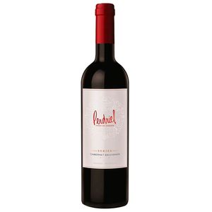 Vinho Argentino Tinto Cabernet Sauvignon Perdriel Series Norton 750ml