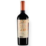 Vinho-Chileno-Cabernet-Sauvignon-Organico-Odfjell-Armador-750ml