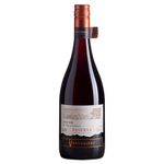 Vinho-Chileno-Tinto-Reserva-Tinto-Ventisquero-750ml