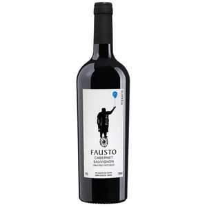 Vinho Nacional Tinto Cabernet Sauvignon Pizzato Fausto 750ml