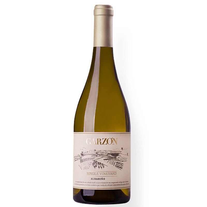 Vinho-Branco-Single-Vineyard-Albaric3b1o-Garzon-750ml