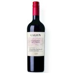 Vinho-Cabernet-de-Corte-State-Garzon-750ml