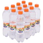 Agua-Com-Gas-Verao-Lindoya-510ml