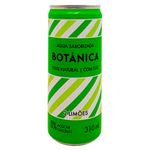 C3a1gua-Tc3b4nica-2-Limc3b5es-Botc3a2nica-310ml