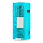 C3a1gua-Tc3b4nica-Indian-Prata-269ml