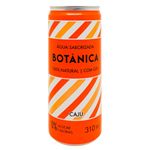 C3a1gua-Tc3b4nica-Sabor-Caju-Botc3a2nica-310ml
