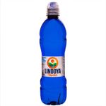 Agua-Verao-Fitness-Blue-Lindoya-510ml
