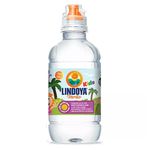 Agua-Verao-Kids-Lindoya-240ml