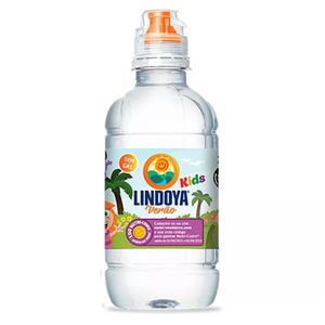Água Mineral sem Gás Verão Kids Lindoya 240ml