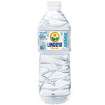 Agua-Verao-Sense-Lindoya-510ml