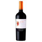 273385-vinho-chileno-reserve-barrel-santa-ema-750ml