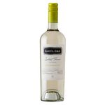 273412-vinho-chileno-branco-suave-terroir-santa-ema-750ml