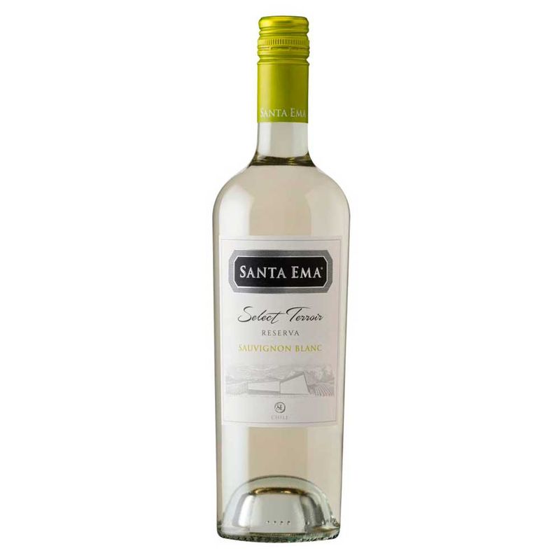 273412-vinho-chileno-branco-suave-terroir-santa-ema-750ml