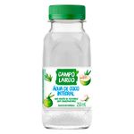agua-de-coco-campo-largo-250ml