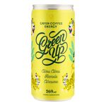 266938-energetico-natural--acerola-e-curcuma-green-up-269ml