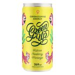 266939-energetico-natural-hibisco-e-morango-green-up-269ml