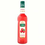 272016-xarope-cramberry-mathieu-teisseire-700ml