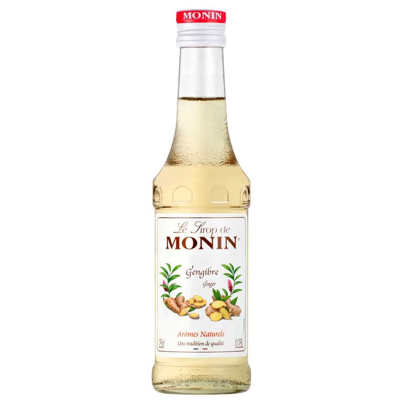 xarope-de-gengibre-monin-250ml